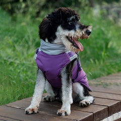 Norbi All-Weather Dog Coat reflective strip improves nighttime visibility for safer strolls