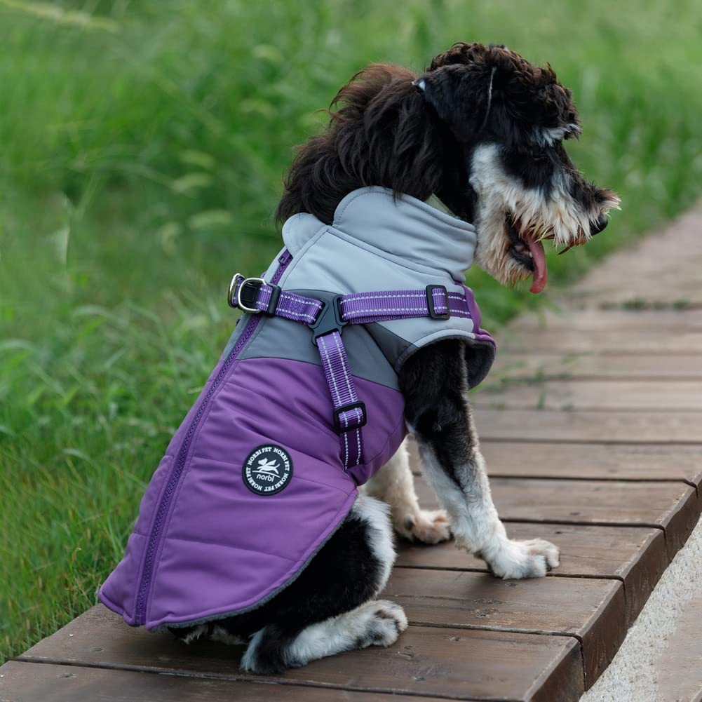 Norbi All-Weather Dog Coat waterproof shell keeps dog dry in wind and snow