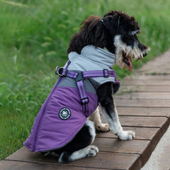 Norbi All-Weather Dog Coat waterproof shell keeps dog dry in wind and snow