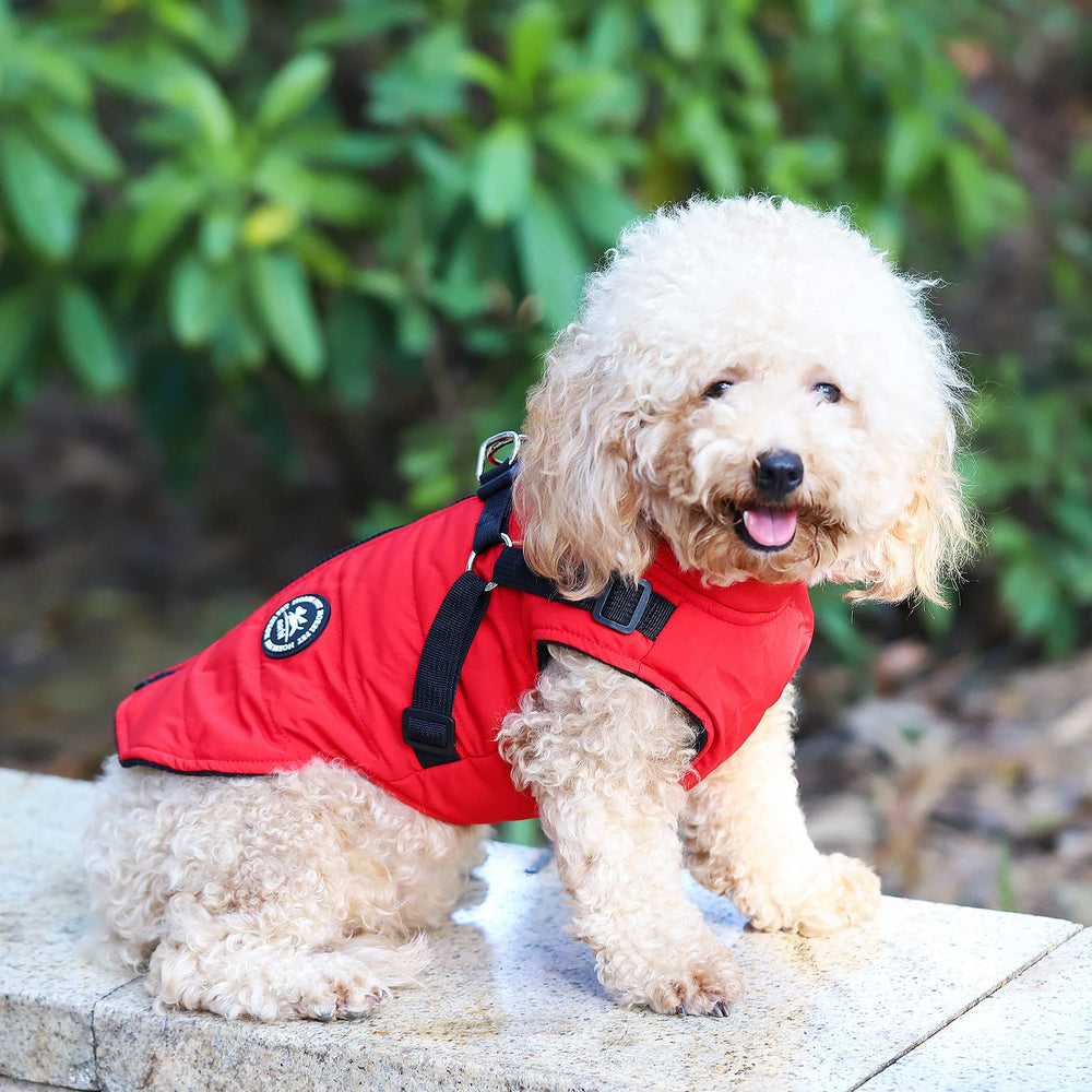 Norbi dog winter jacket with built-in harness, back view—easy on/off and comfortable movement.