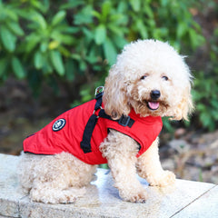 Norbi dog winter jacket with built-in harness, back view—easy on/off and comfortable movement.