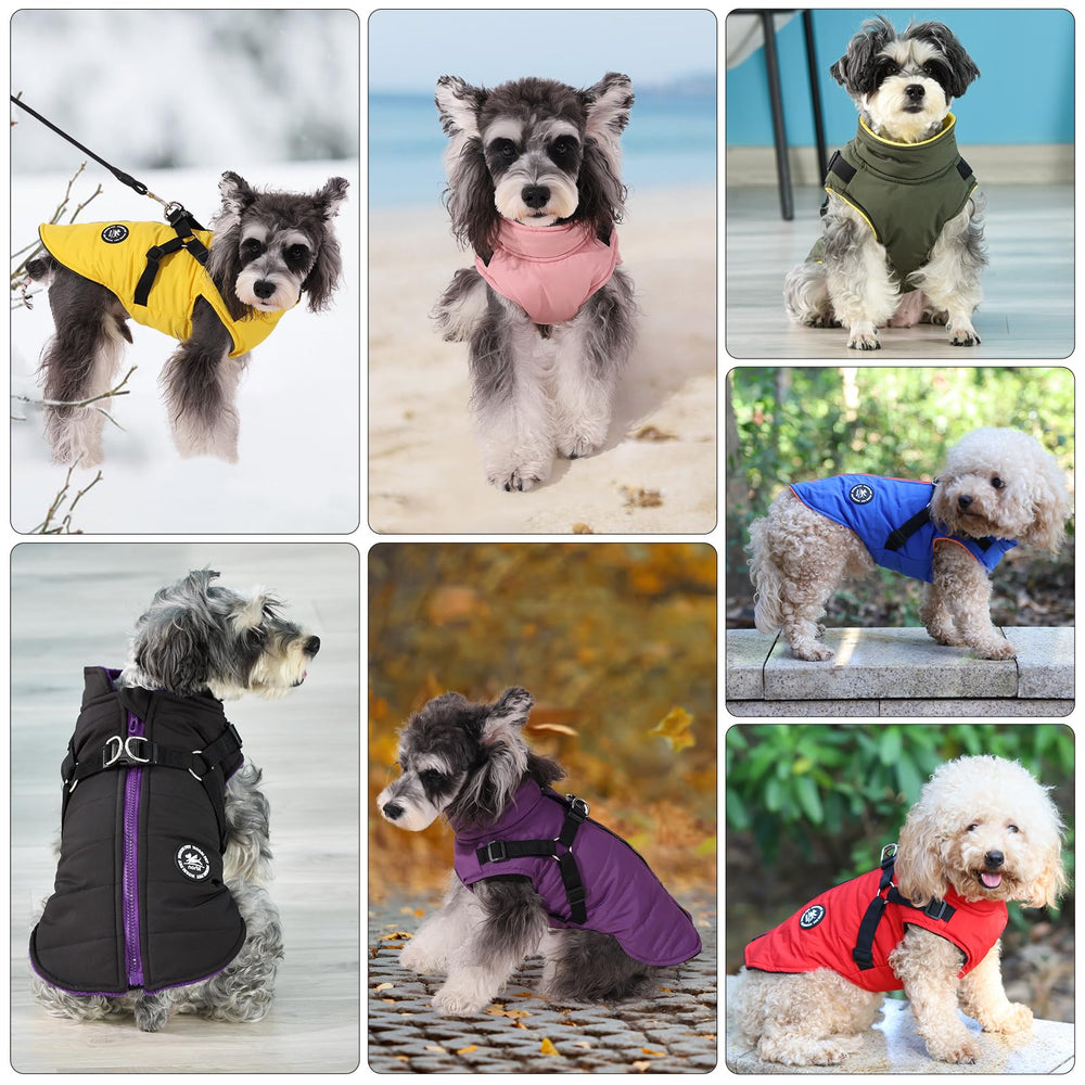 Norbi dog winter jacket full-back-zip, red—simple dressing and quick harness access.