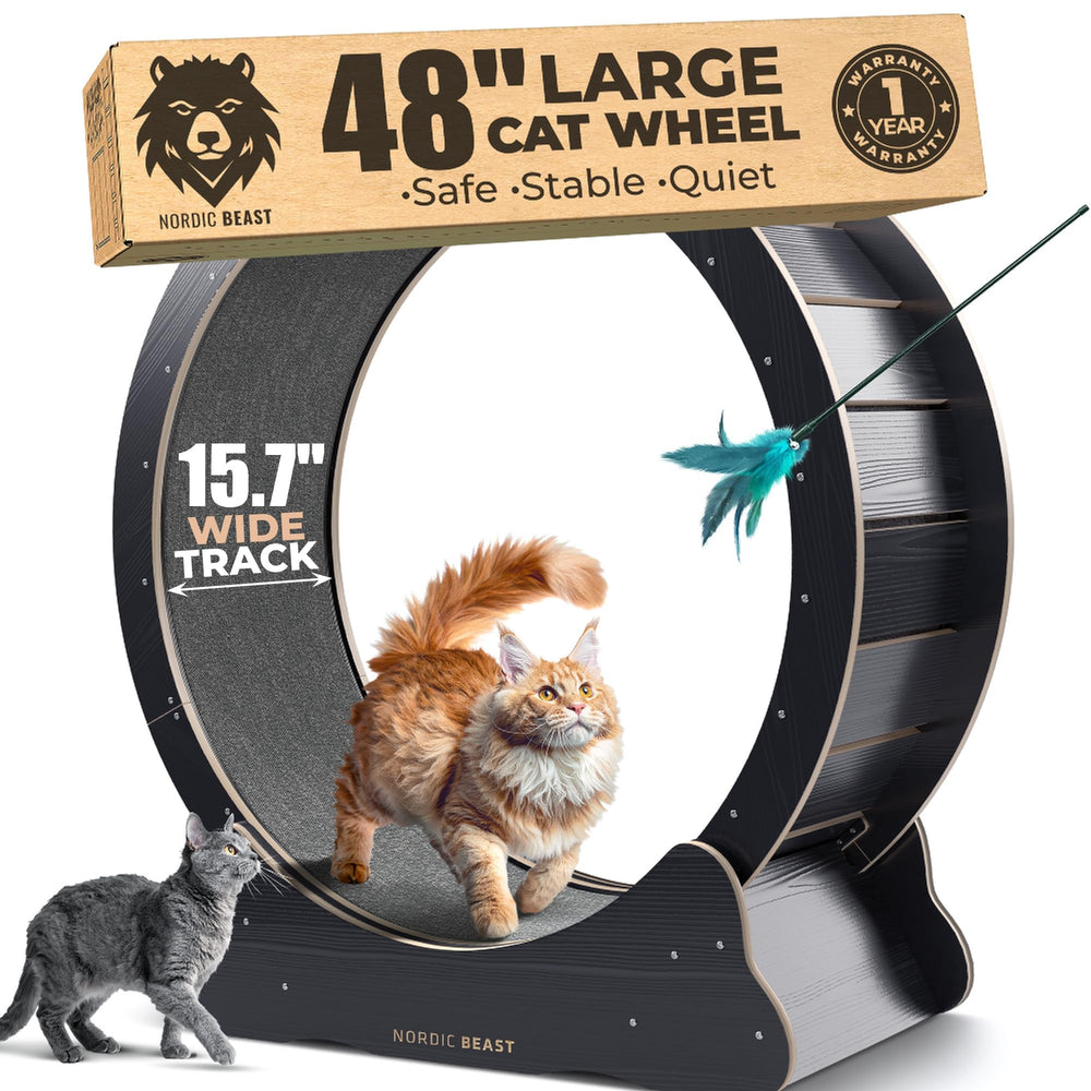 Nordic Beast 48-inch cat wheel, fully assembled in a living room.