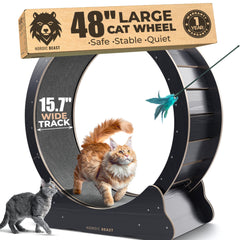 Nordic Beast 48-inch cat wheel, fully assembled in a living room.