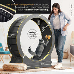 Nordic Beast Gold 15-7-inch running surface detail highlighting stability for two cats.