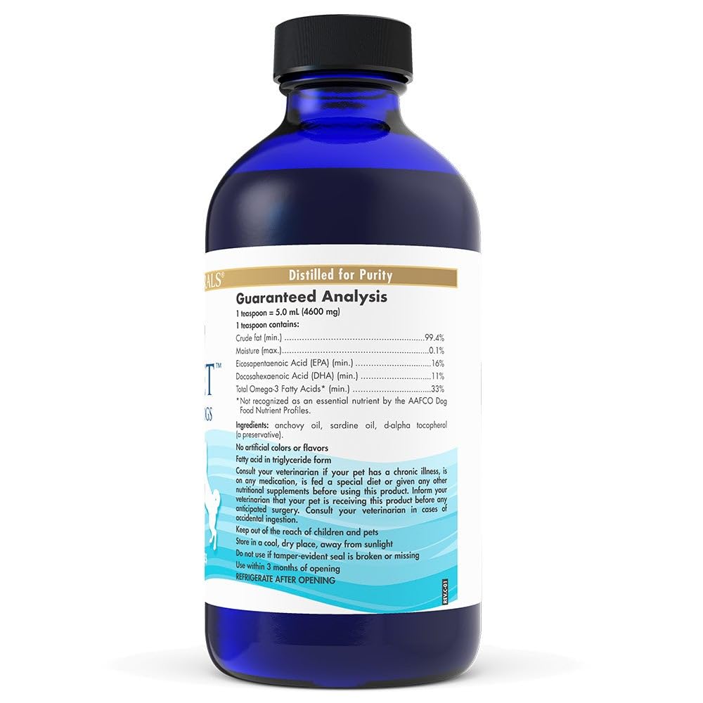 Nordic Naturals Omega-3 Pet heart health concept with dog portrait