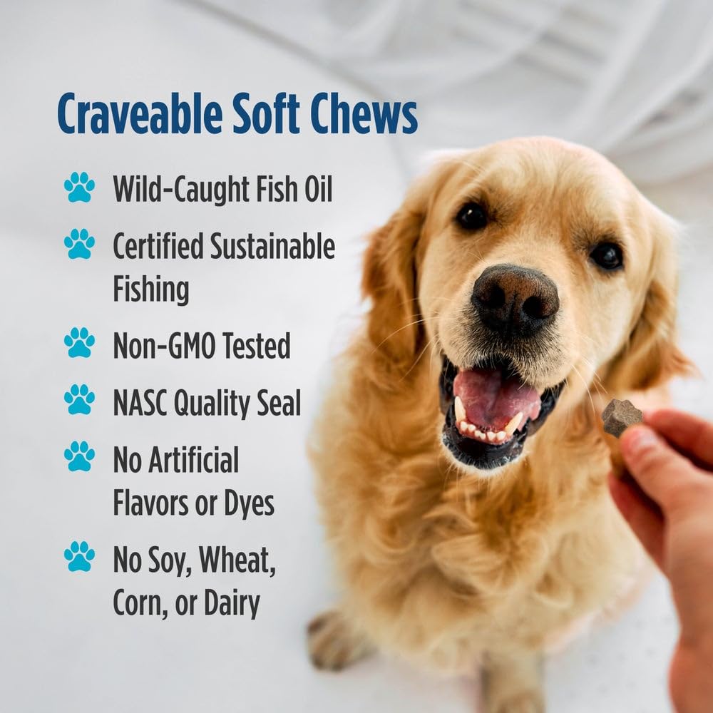 Nordic Naturals Pet Joint Soft Chews dog eating closeup demonstrates convenient, treat-like joint support