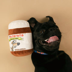 Nori May Neuterella dog toy with crinkle sound to spark curiosity.