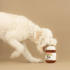 Nori May Neuterella interactive plush toy suitable for all dogs.