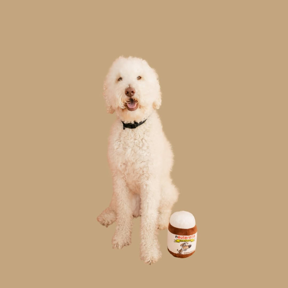 Nori May Neuterella non-toxic plush for safe cuddling.