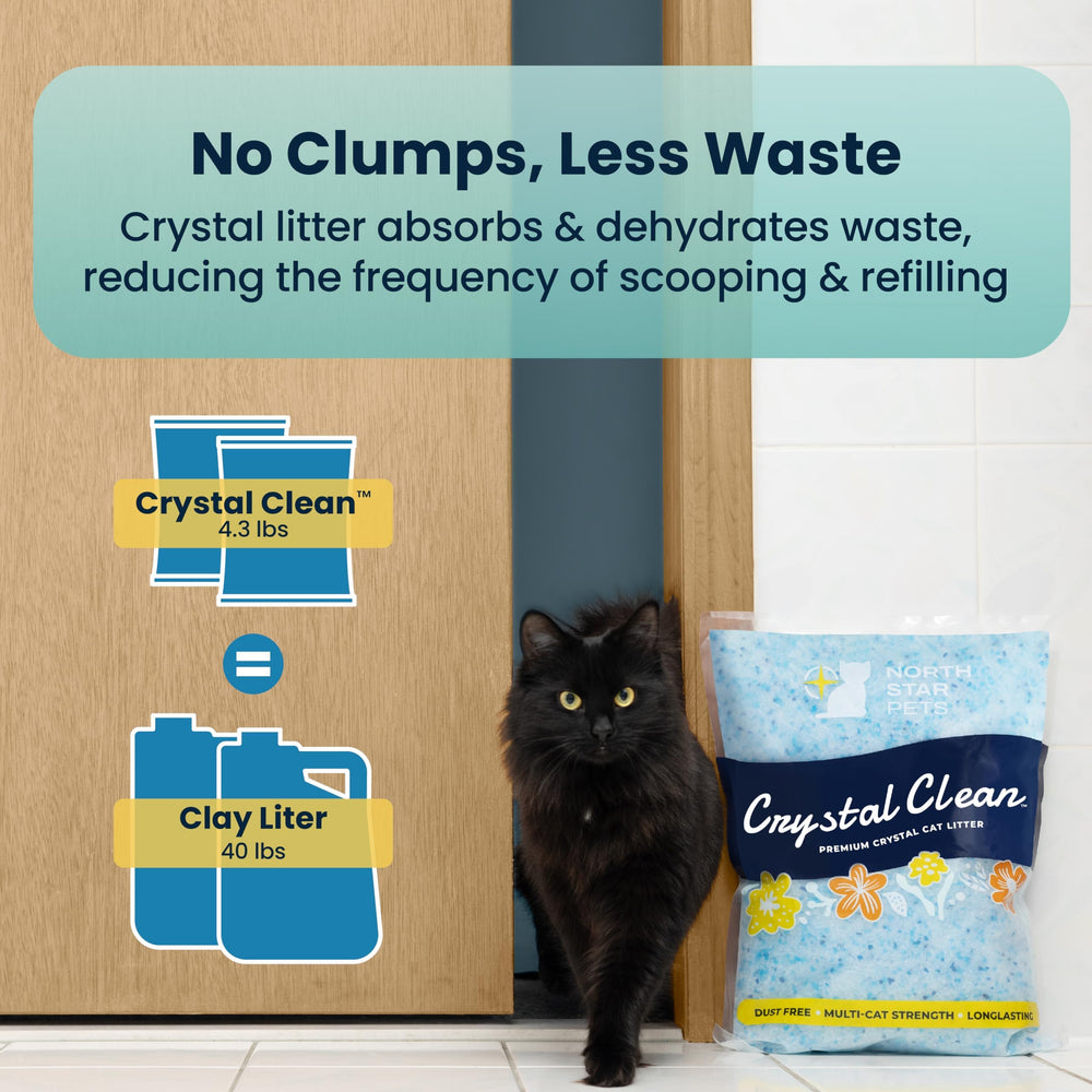 North Star Pets Crystal Clean is near-dust-free, ideal for sensitive households.