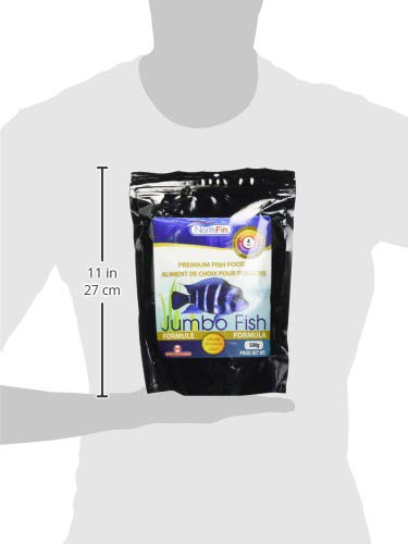NorthFin Jumbo Formula fed in an aquarium supports efficient digestion and cleaner water.