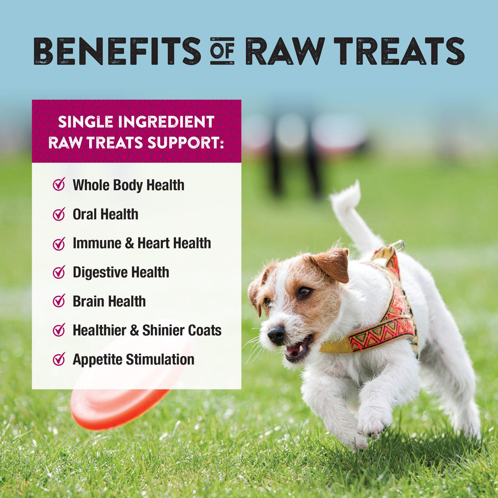 Northwest Naturals Freeze-Dried texture close-up reveals crunchy, flavorful rewards.