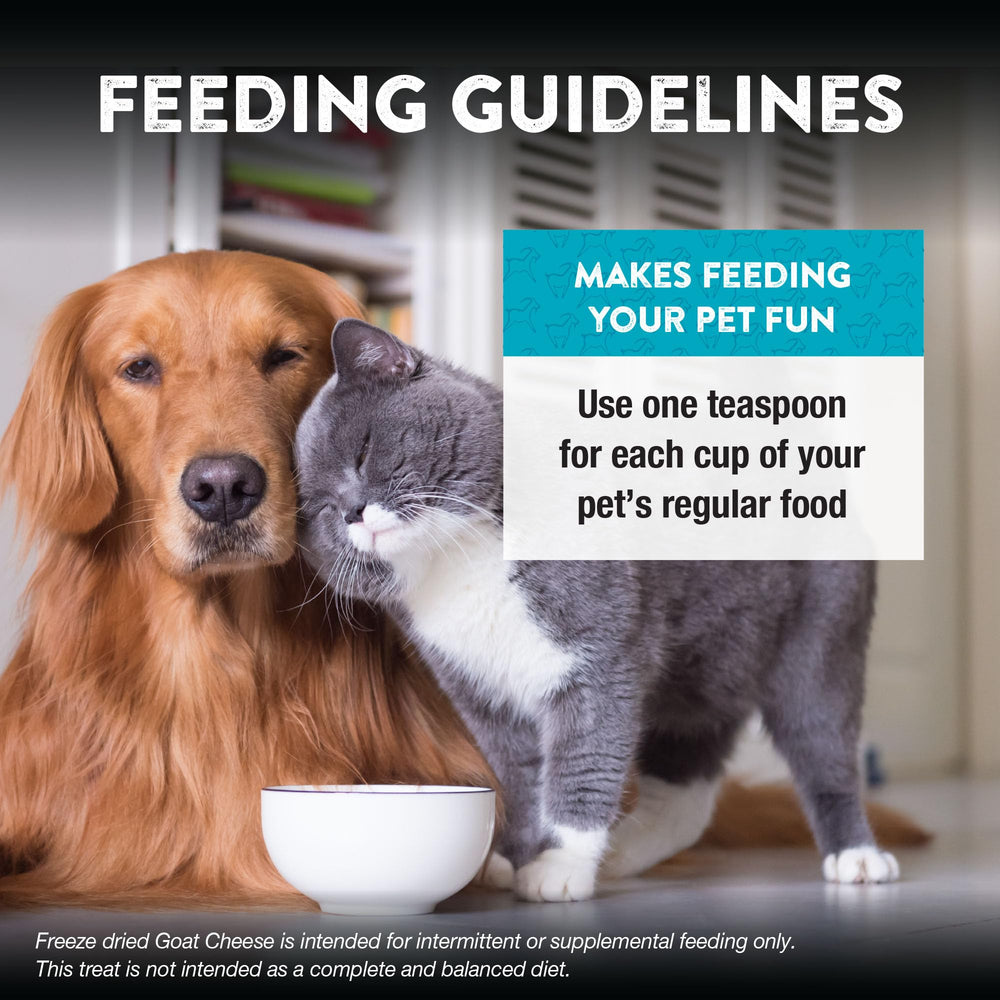 Northwest Naturals dog-cat-meal-topper-serving captures shared mealtime appeal for pets.