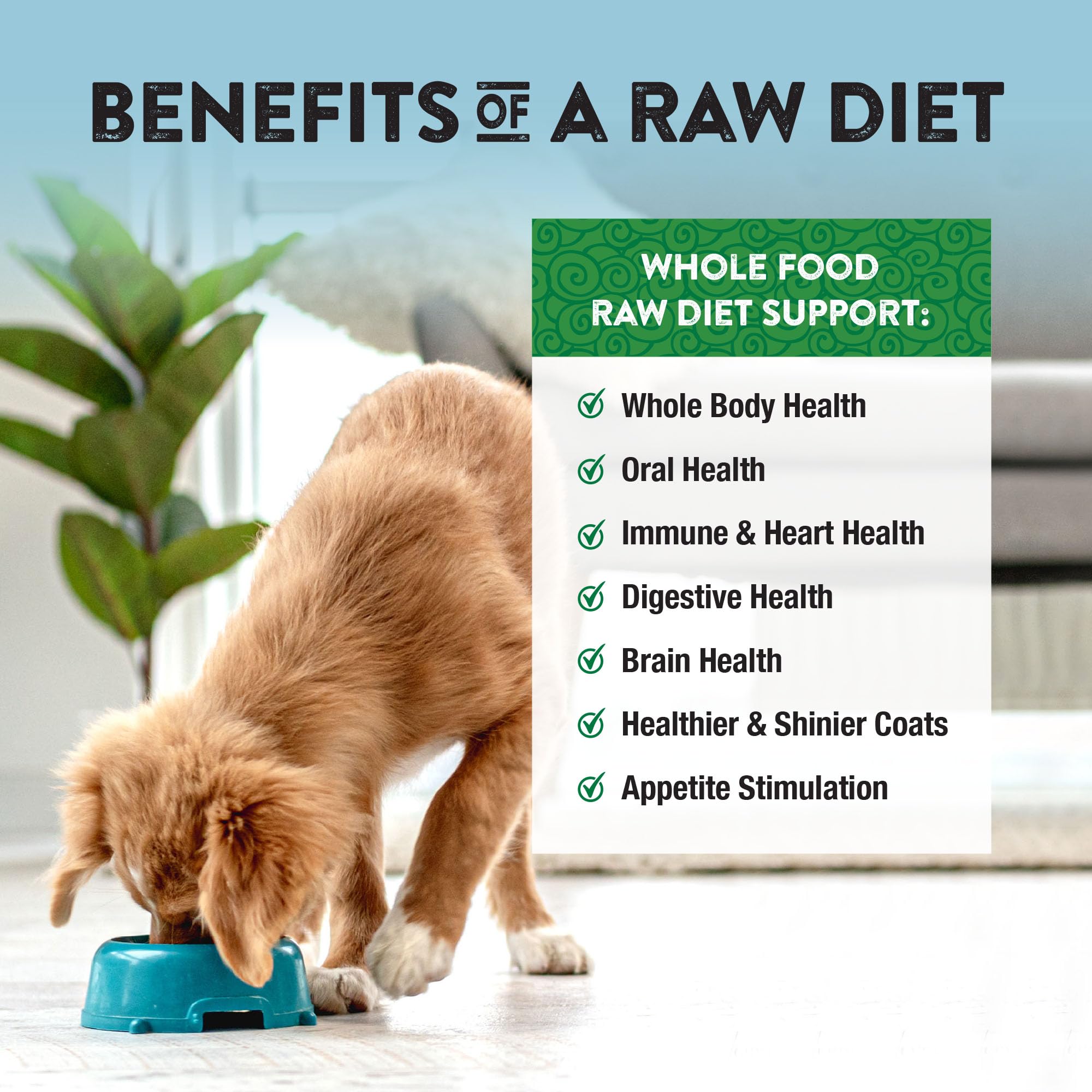 Northwest Naturals lamb dog food supports a nutrient-dense raw-diet approach.