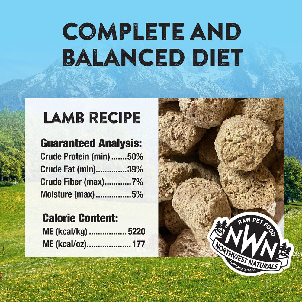 Northwest Naturals lamb dog food served in a bowl for easy mealtime.