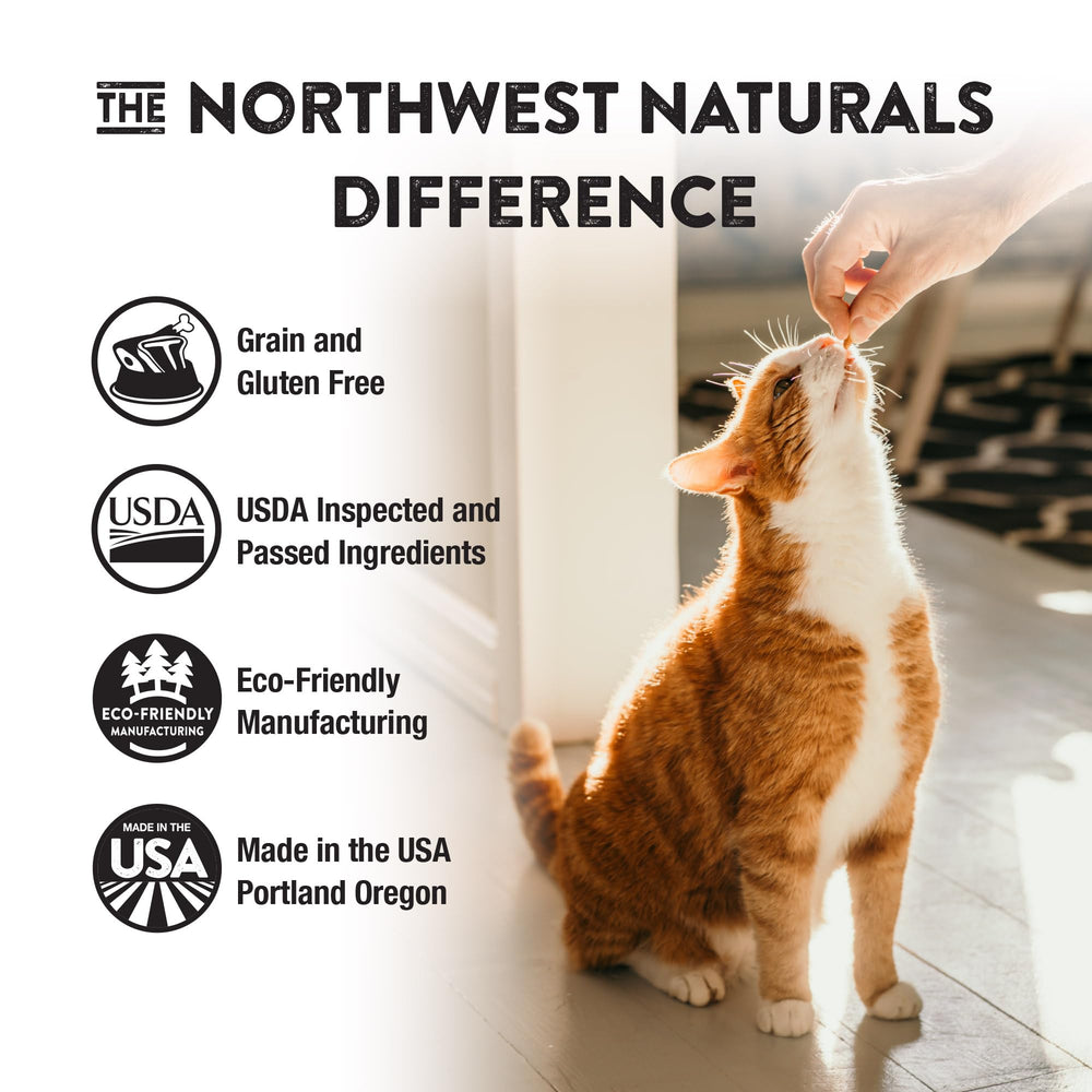 Northwest Naturals travel pack—freeze-dried convenience for trips.
