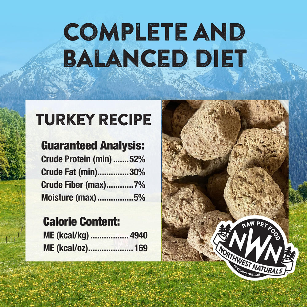 Northwest Naturals freeze-dried turkey dog food in bowls demonstrates easy-meal serving