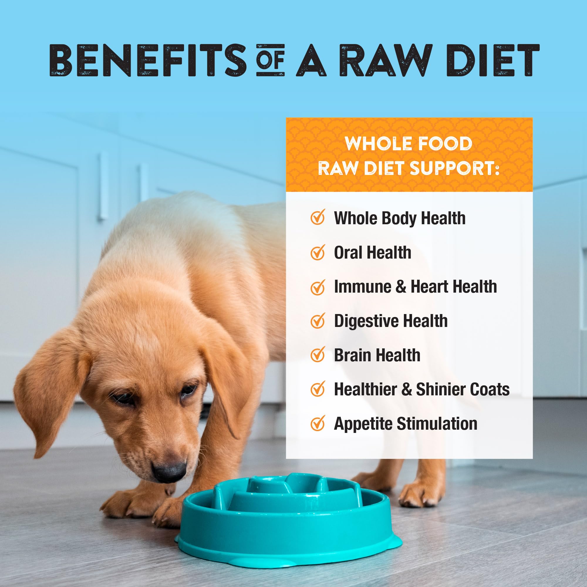 Northwest Naturals freeze-dried turkey dog food USA-made label signals trusted sourcing