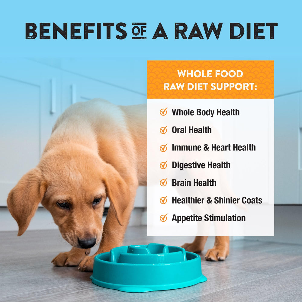 Northwest Naturals freeze-dried turkey dog food USA-made label signals trusted sourcing
