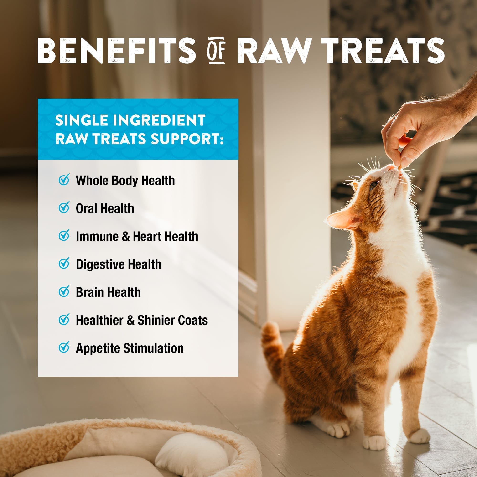 Travel-friendly freeze-dried treats in easy package for on-the-go.