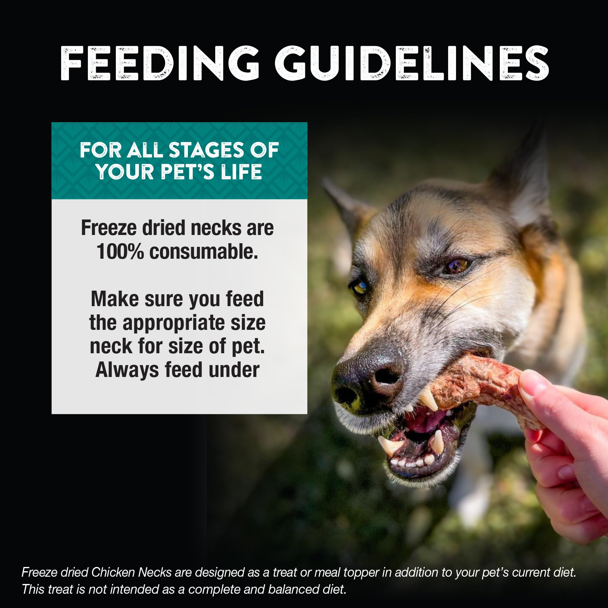 Northwest Naturals Raw Rewards chicken neck cats enjoying, a versatile snack option for pets.