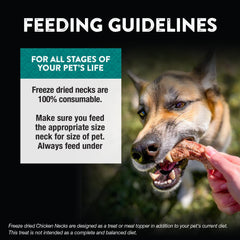 Northwest Naturals Raw Rewards chicken neck cats enjoying, a versatile snack option for pets.