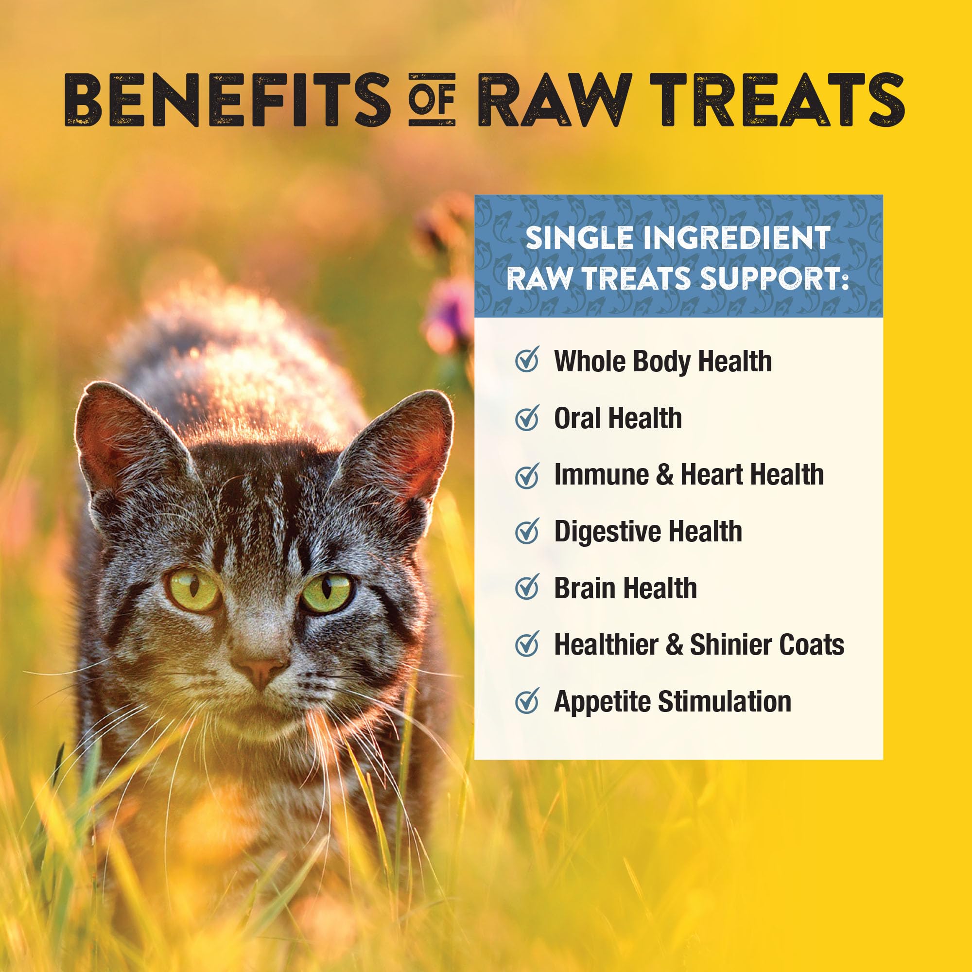 One-ingredient whitefish from Northwest Naturals supports simple, wholesome snacking.