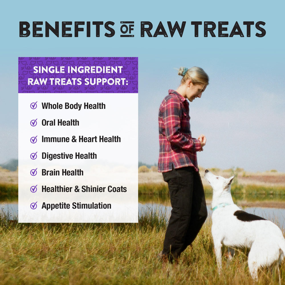 Northwest Naturals Raw Rewards pork liver treats during training illustrate quick tasty rewards.