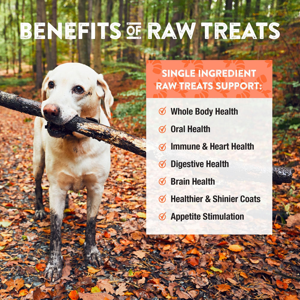 Northwest Naturals Raw Rewards shrimp snacks proudly made in the USA.