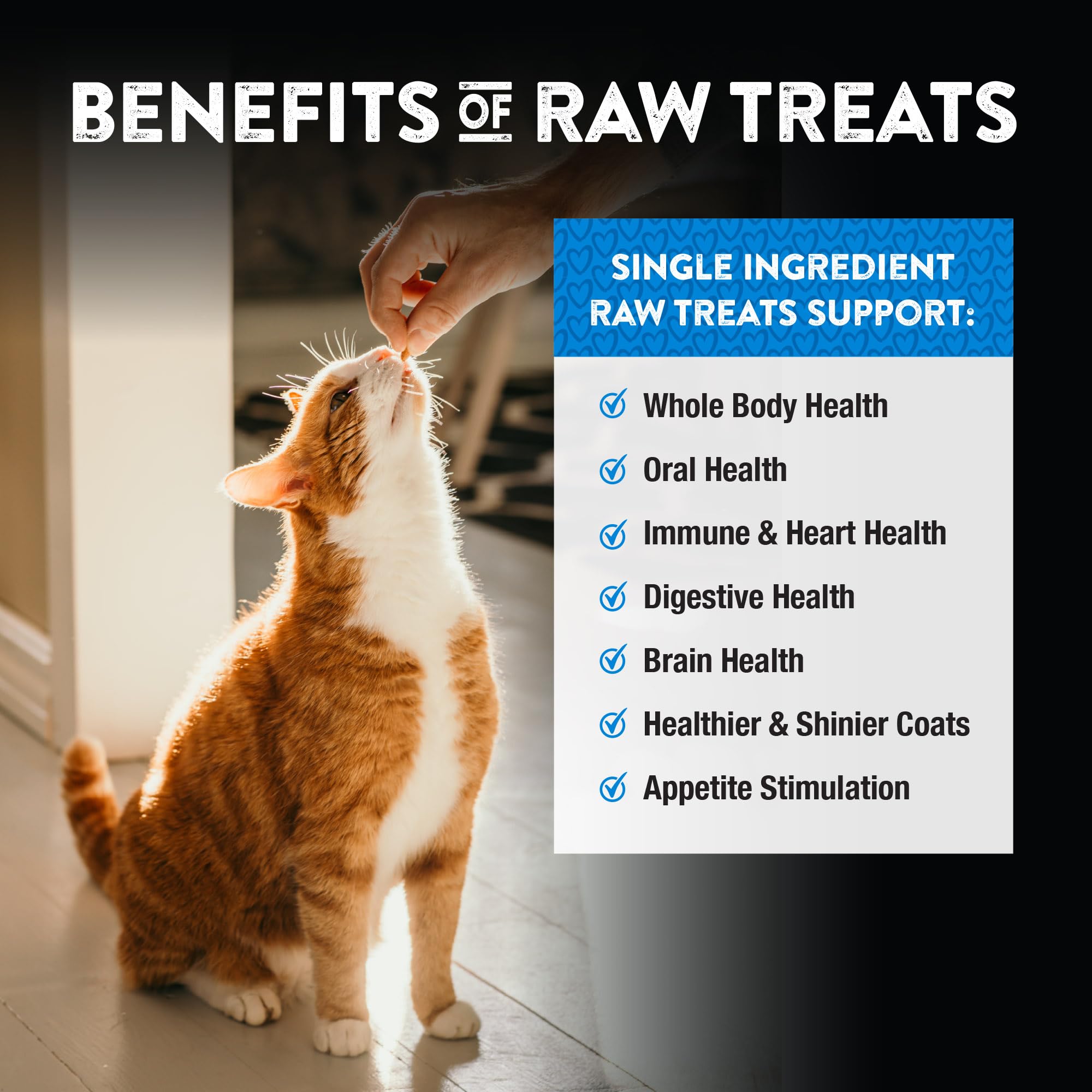Northwest Naturals USDA-inspected facility photo underscores safety-driven production for pet snacks