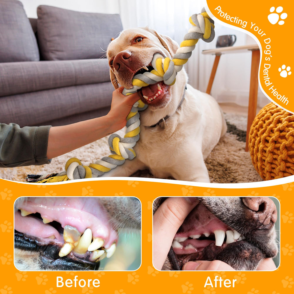 Norvy rope toy during tug-of-war with a large dog