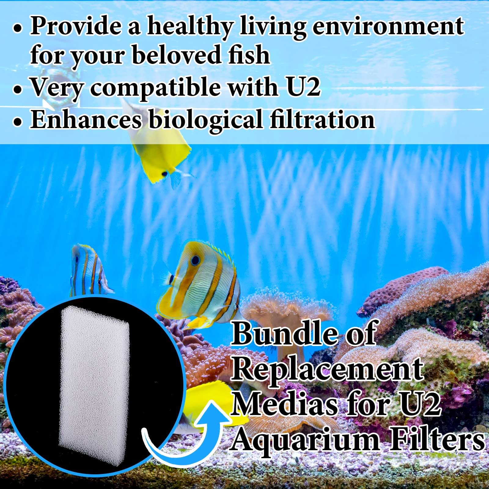 Nosiny 10-pack filter foam pads package shows generous replacement quantity.