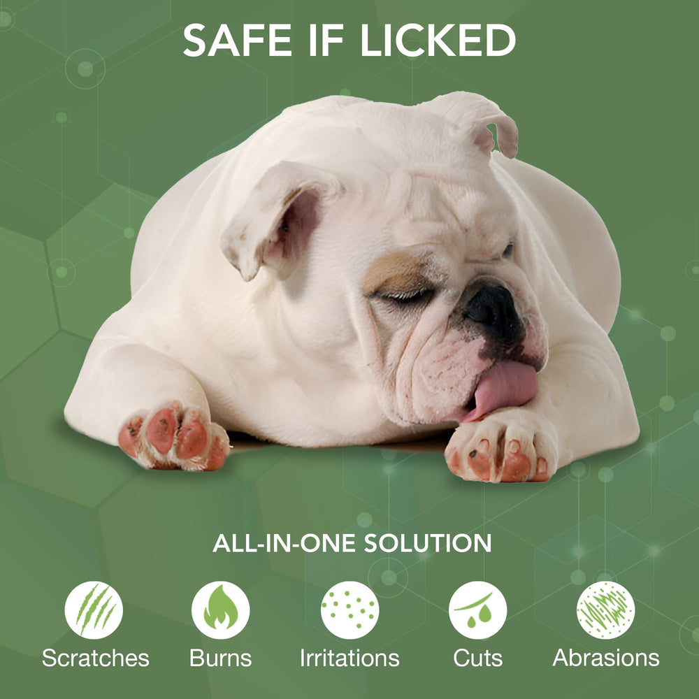 NOVEHA dog wound therapy spray helps itching relief for dogs during daily care.