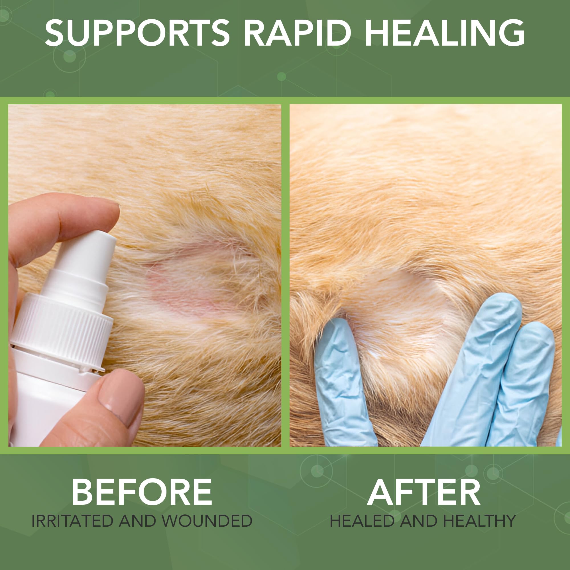 NOVEHA dog wound therapy spray on fur-friendly formula supports skin comfort.