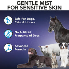 NOVEHA fragrance-free no-sting formula keeps pets comfortable during grooming.