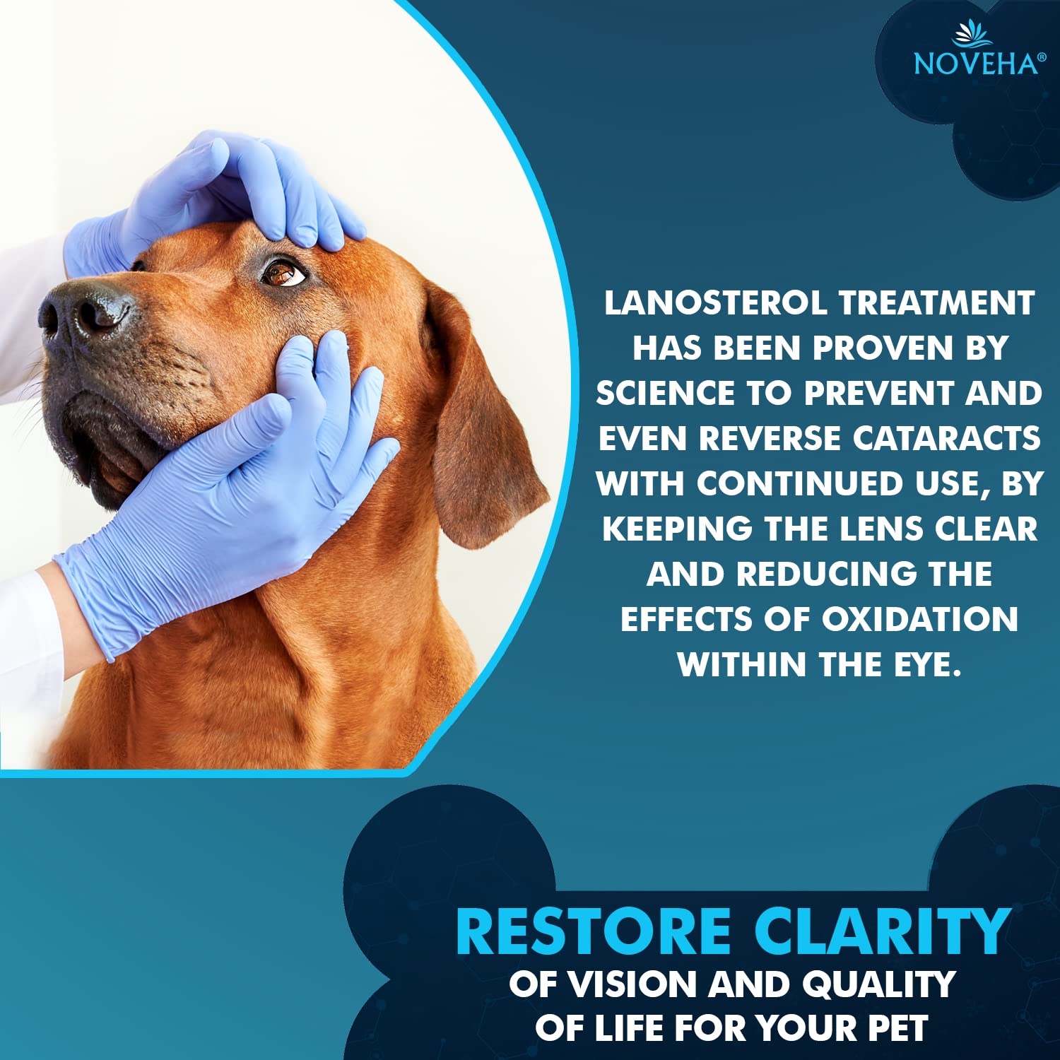 NOVEHA Pet Drops dosing action shows simple administration.