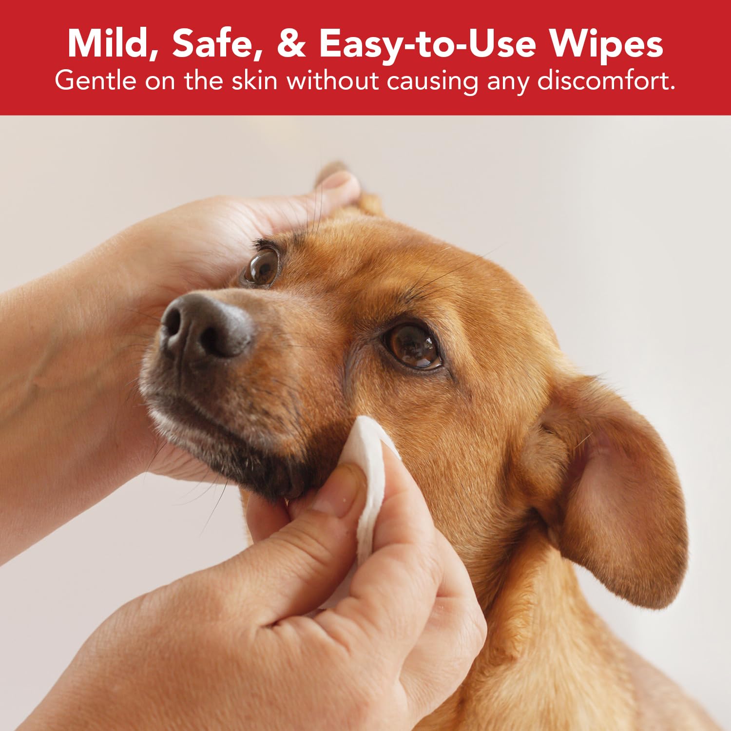 NOVEHA Pet Wipes on-the-go pack for travel-friendly cleanups.