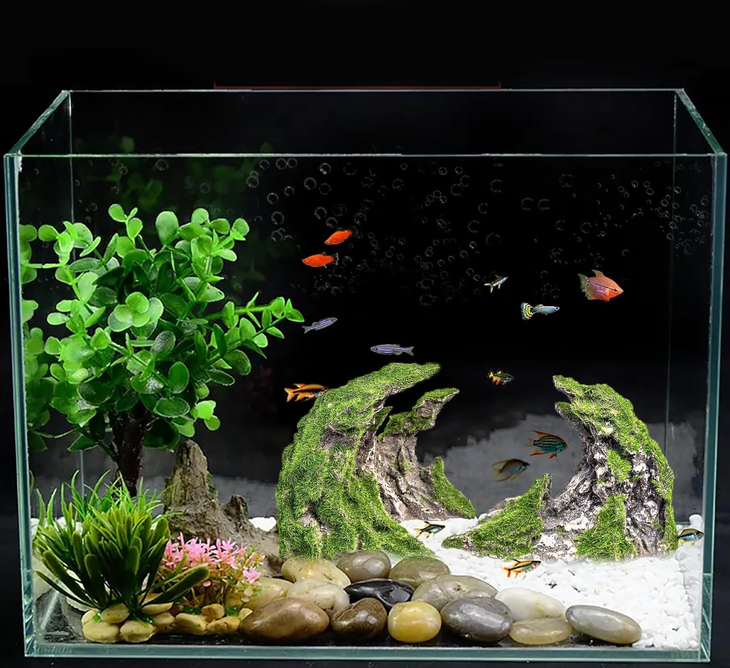 Novelsite aquarium scene decor adds depth and a realistic underwater landscape.