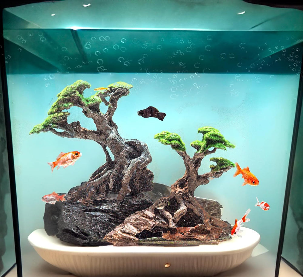 Novelsite aquascaping setup demonstrates cohesive arrangement options for tanks.