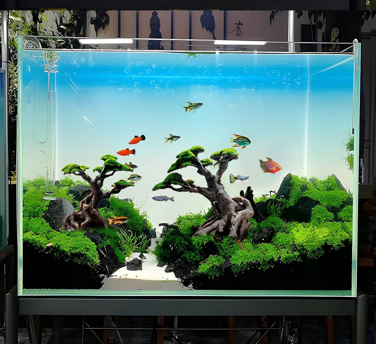 Novelsite bonsai tree silhouette adds a focal point to aquascapes.