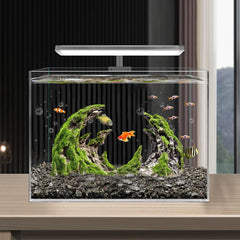 Novelsite colorful creatures accent tank with vibrant hues and natural viewing interest.