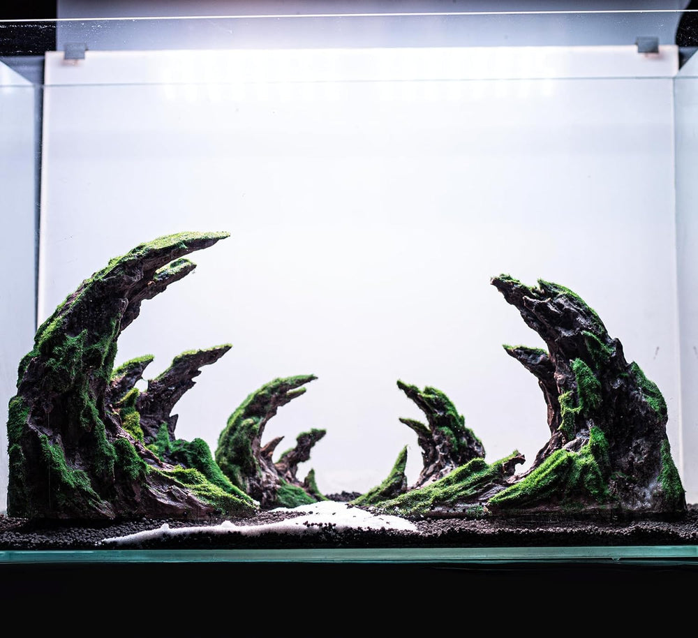 Novelsite multi-functional design offers hiding spots and extra surfaces for exploration.