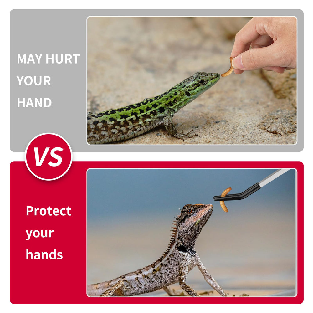 Novery bearded dragon feeding tongs ideal for safe, precise handling of live prey.