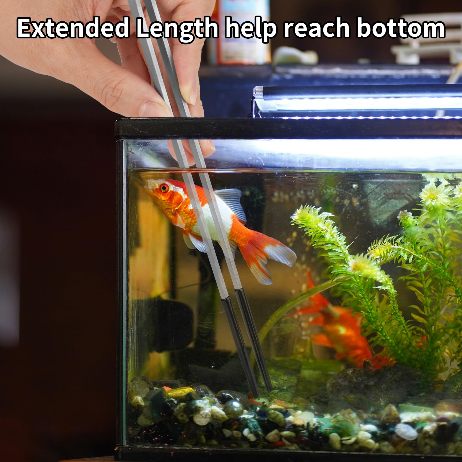 Novery multiuse reptile tongs suited for crafting and delicate terrarium adjustments.