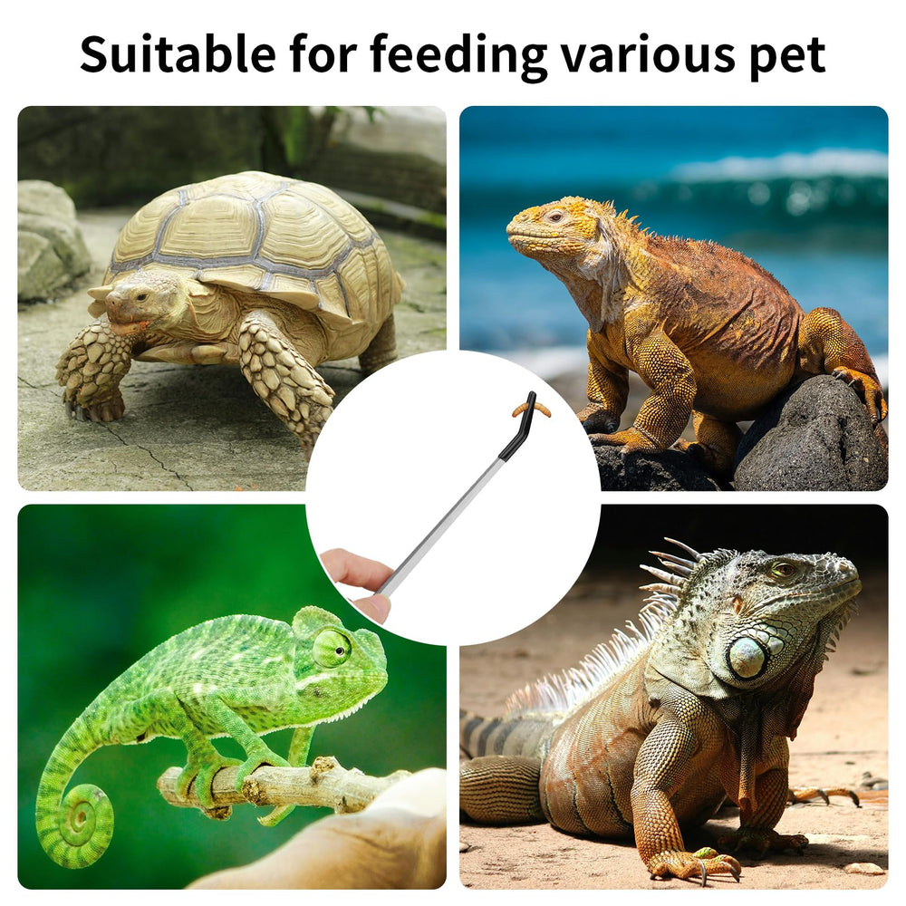 Novery terrarium-tank maintenance tongs aid in moving stones and plants without finger contact.