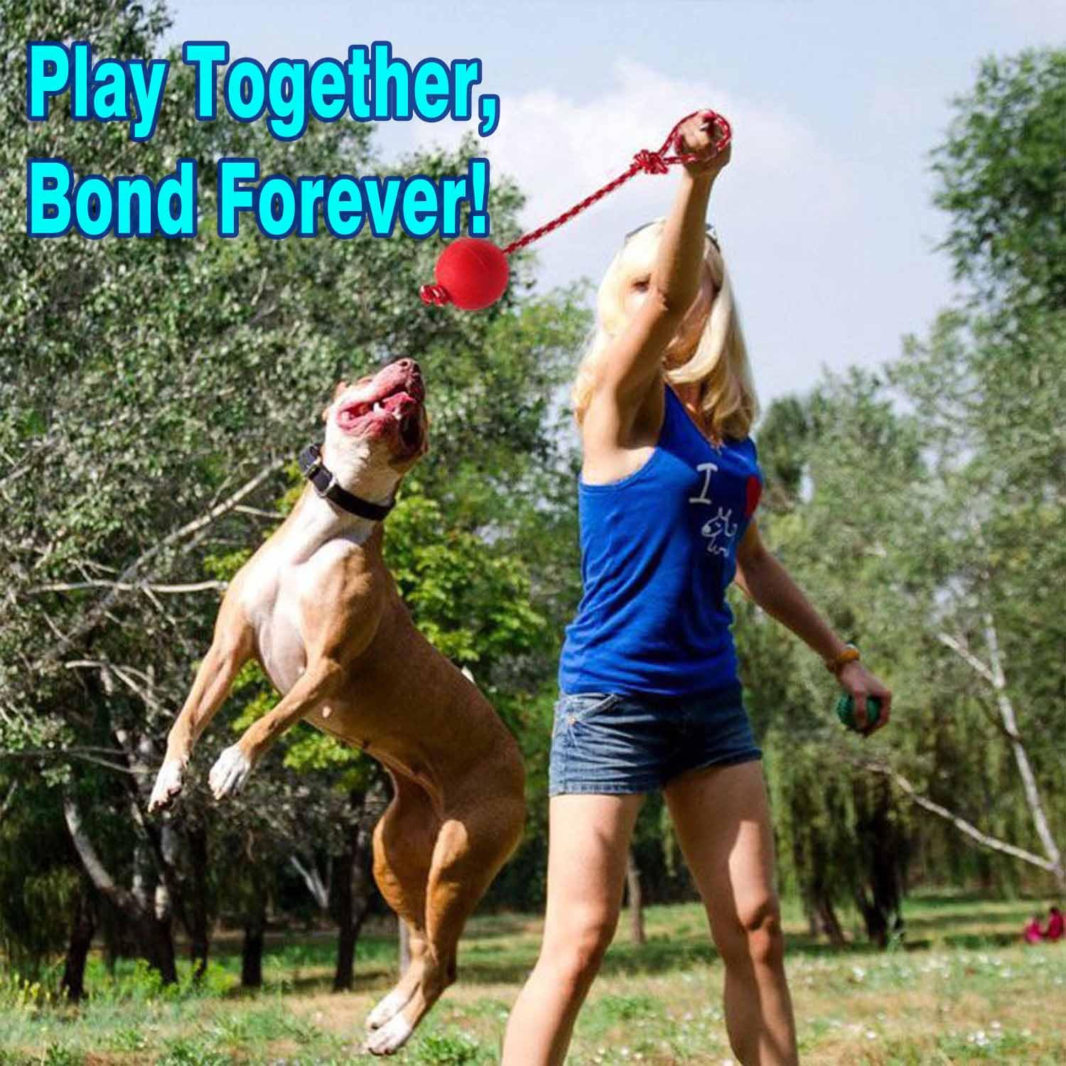 Novique dog toy pack indoor-outdoor set supports bonding and energy release.