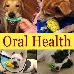 Novique dog treat ball for puppies in action encouraging slow chewing and reward-based play.