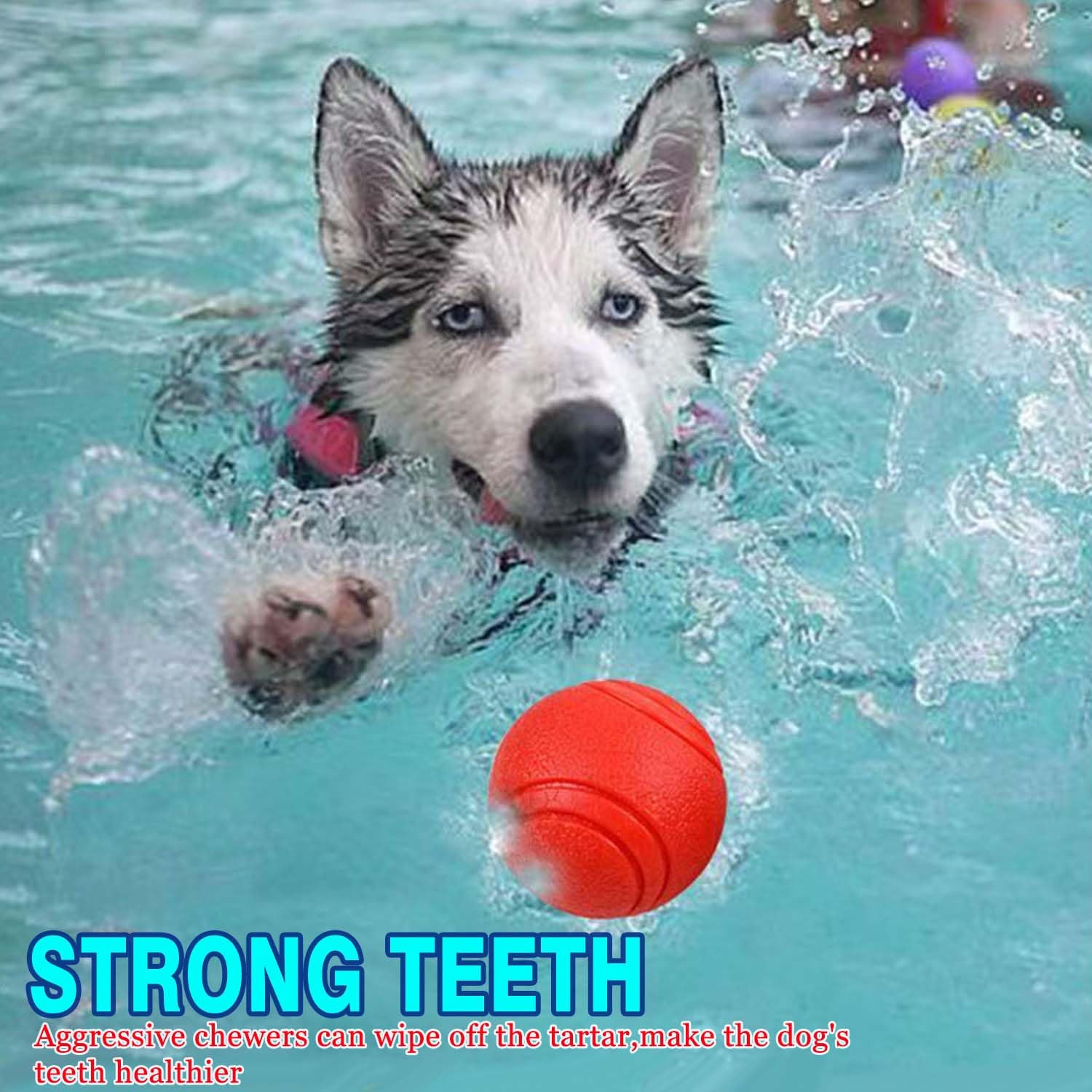 Novique durable play set as a safe furniture alternative for chewers and fetch.