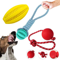 Novique heavy-duty rope toy for large breeds ready for fetch and tug sessions.